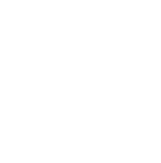 Tringle image