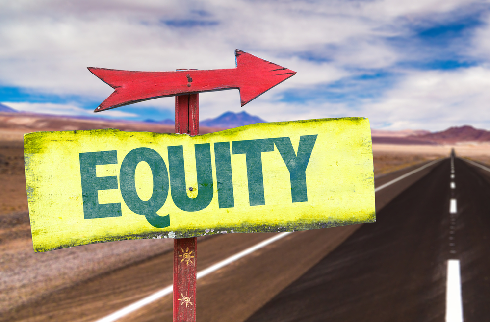 Take Investment Decisions In Equity After A Careful Analysis