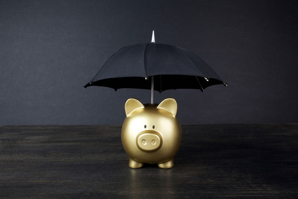 Given A Choice Between Investing And Buying An Insurance Cover, Which One Should You Prioritise And Why?