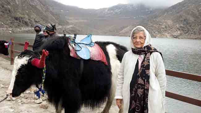 yaks for riding at Lake Tsomgo