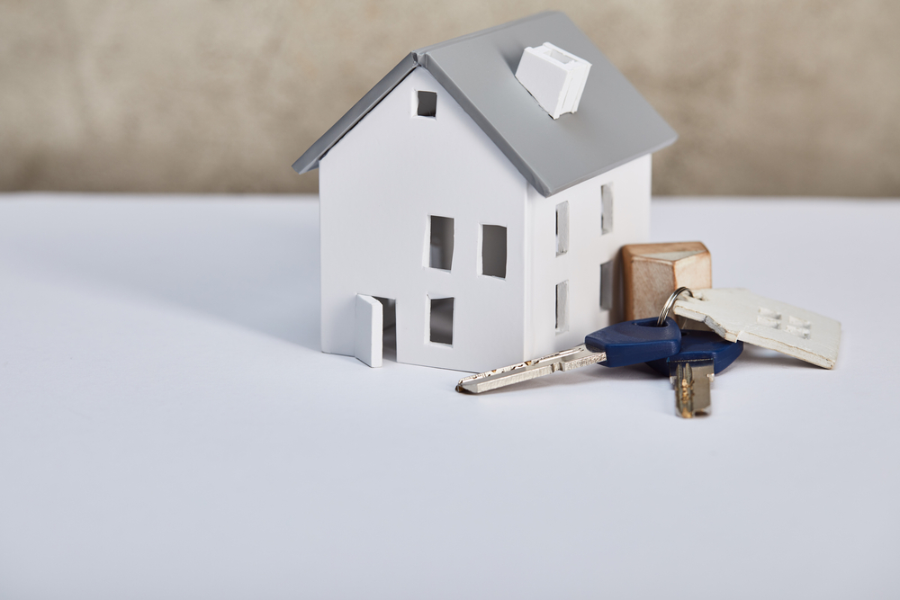 Housing Revival - A Fact Or Fiction?