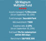 SBI Magnum Multiplier Fund: Magnum opus