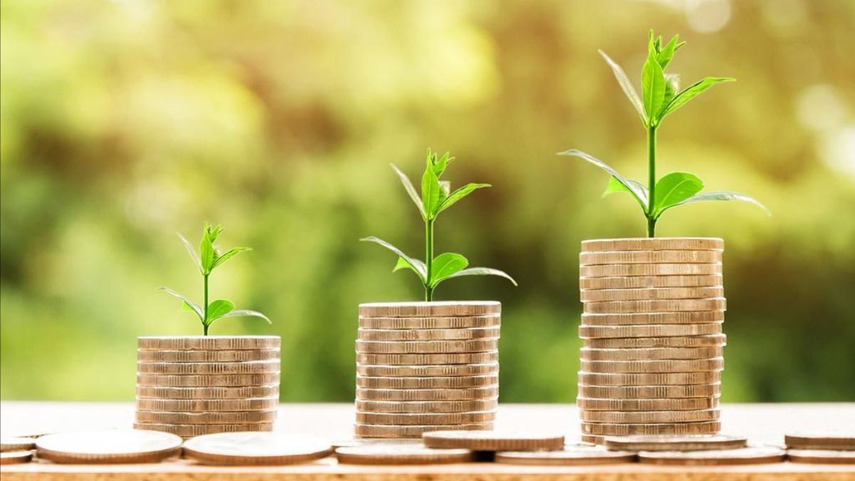 Steer Your Growth With MSME Business Loans And How To Achieve Competitive Interest Rates