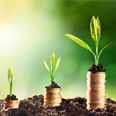 My Rs 2.5 lakh FD will mature next month. How can I invest this and reap maximum
