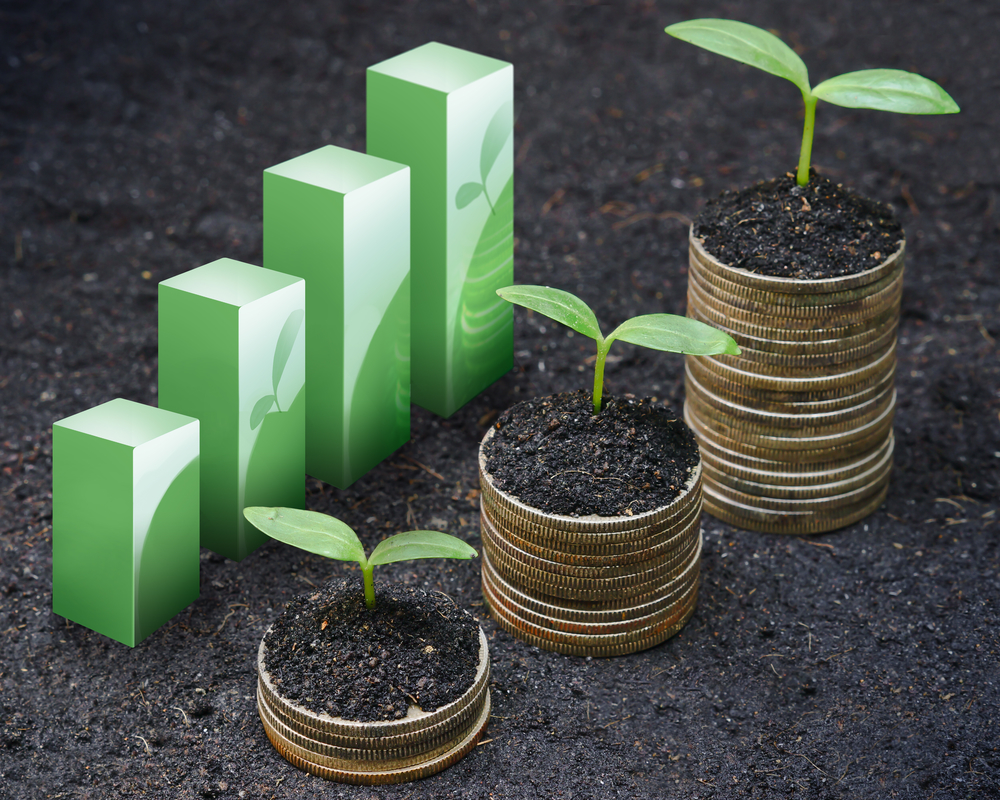 Room For Further Rate Cuts To Bolster Economic Growth