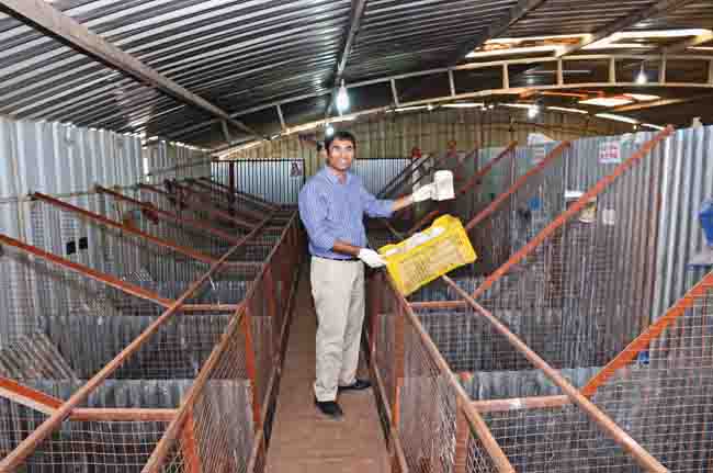 Doing good while doing business