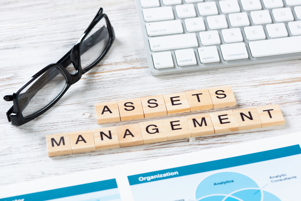 Focus On Assets; Do Not Get Distracted By The Noise