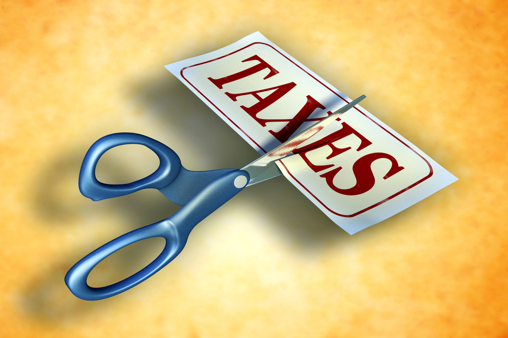Corporate Tax Rate Cut Spawns Optimism: Crisil
