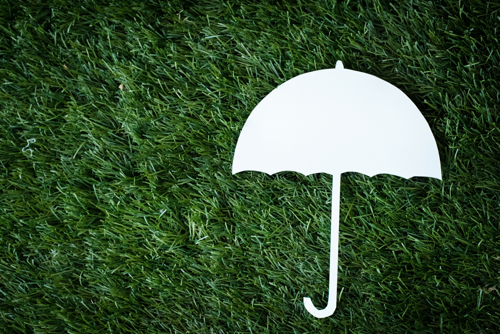 Selecting Correct Health Policy for Monsoon Season