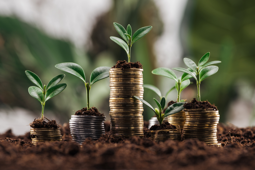 What is the difference between absolute and annualised returns?