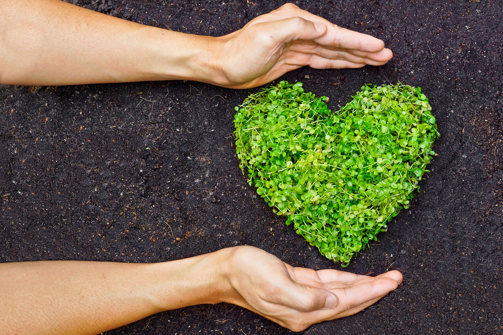 Businesses Are 'Going Green' to Attract Customers
