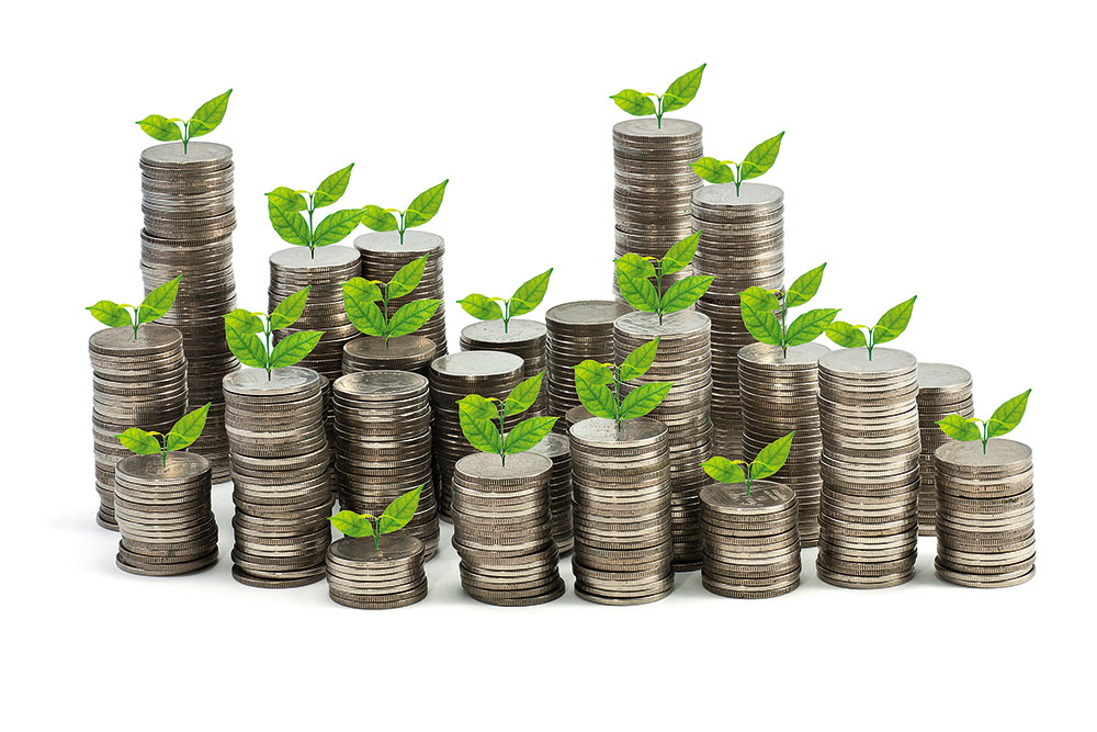 Be Disciplined, Regular And Patient With Your Financial Plan