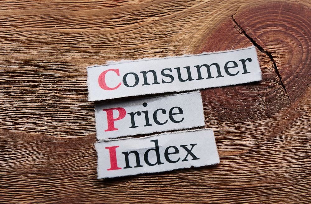 All You Need To Know About CPI and WPI?