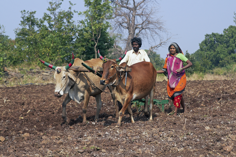 Bridging the Digital Gap in Rural India