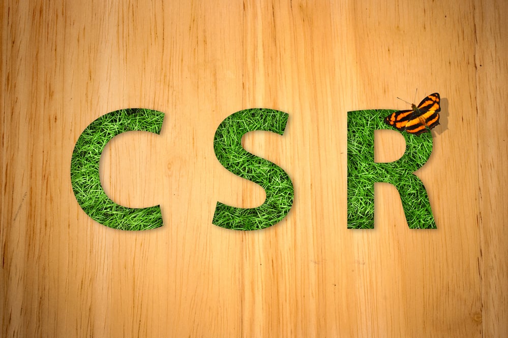 Spend On CSR In Neglected Regions: FM