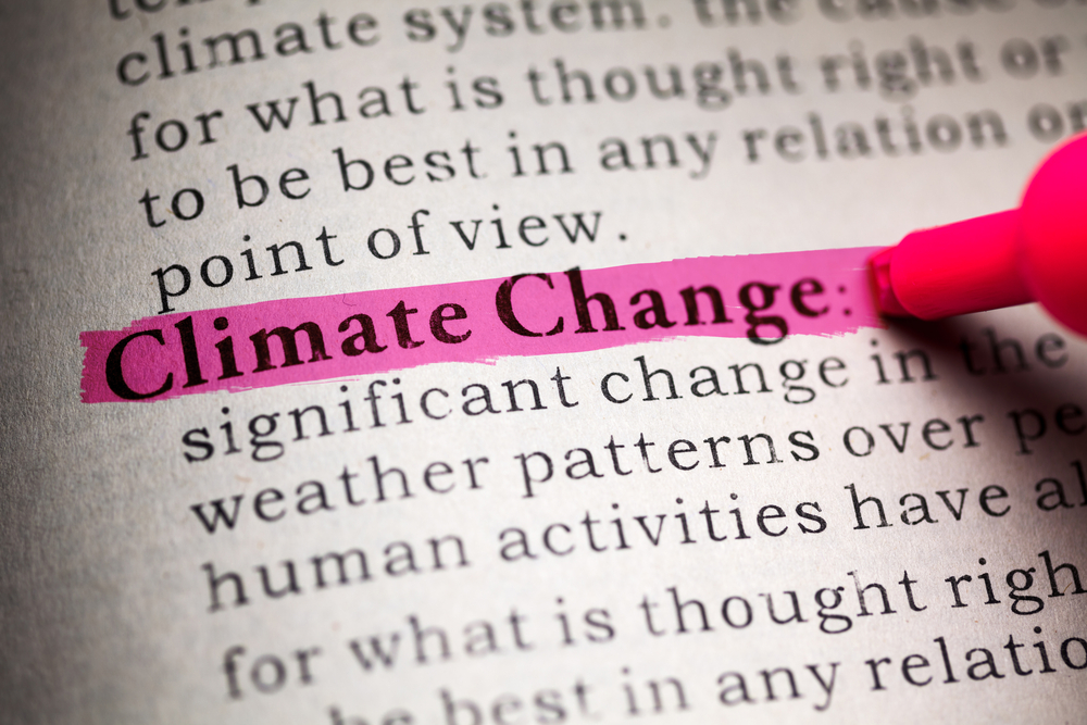 We Should Offer Incentives to Startups in Climate Change Space