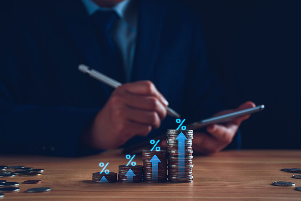 Canara Robeco Blue Chip Equity: Banking On Bluechips For Big Haul