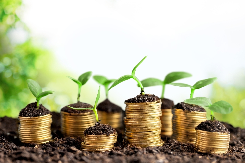 Value v/s Growth Investing; Which One is Better?
