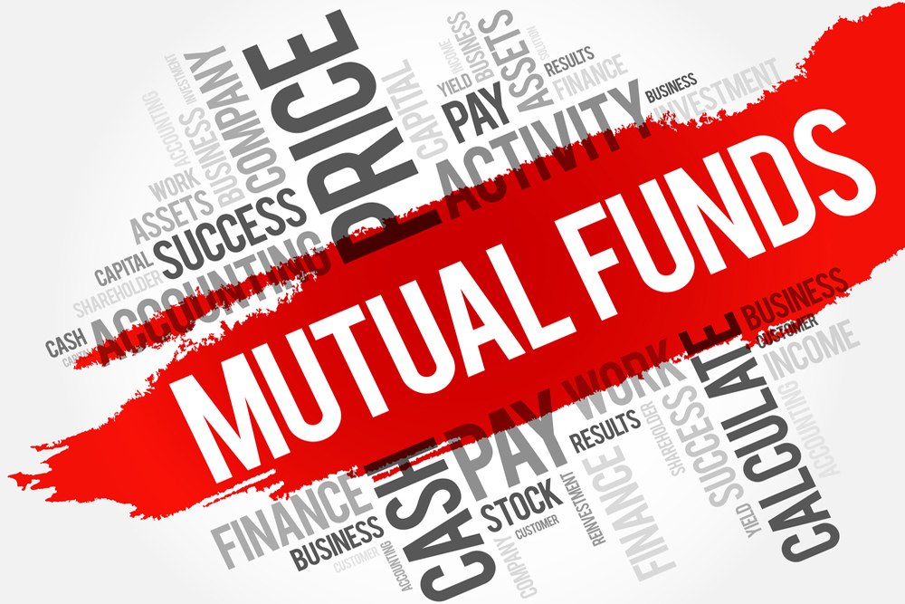 Nippon India Small Cap: Long-Term Performer