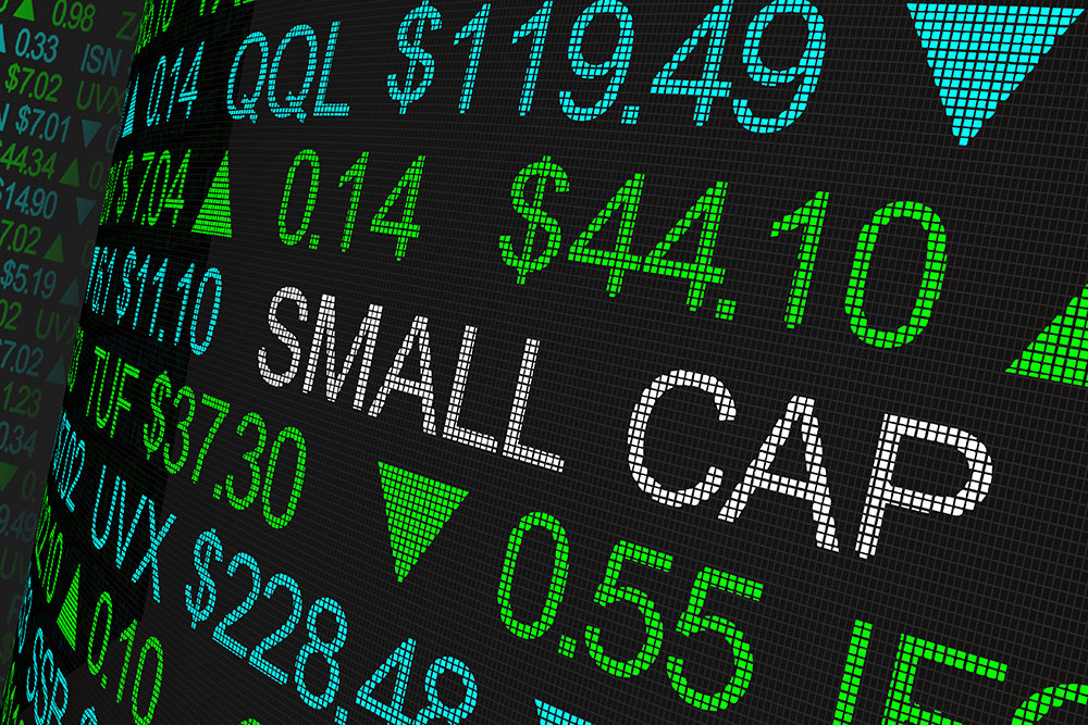 Fund Review: Nippon India Small Cap And SBI Equity Hybrid