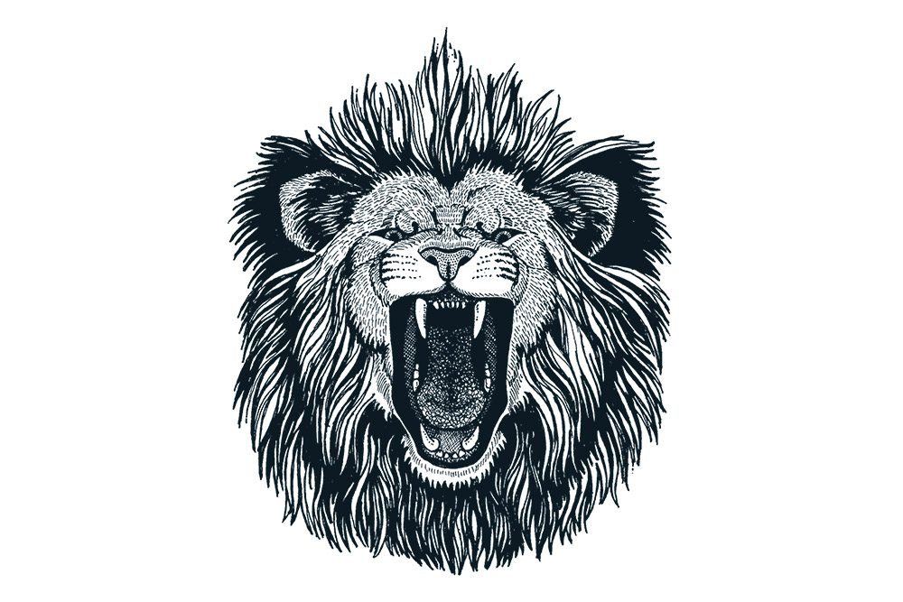 The Lion Is In The Street