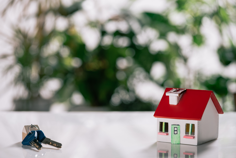 Commercial Real Estate Flourished, While Residential Housing Faced Financial Crunch in 2019: Survey