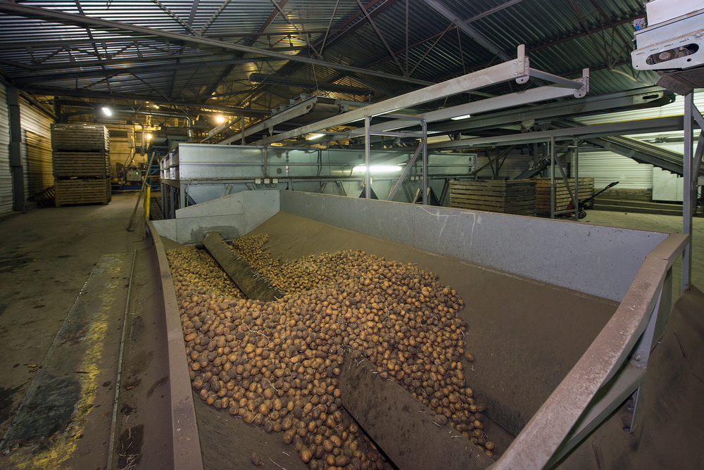 Govt Must Implement Essential Commodities (Amendment) Act, Says Panel 