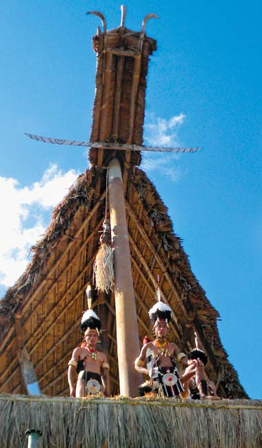 When the hornbill calls