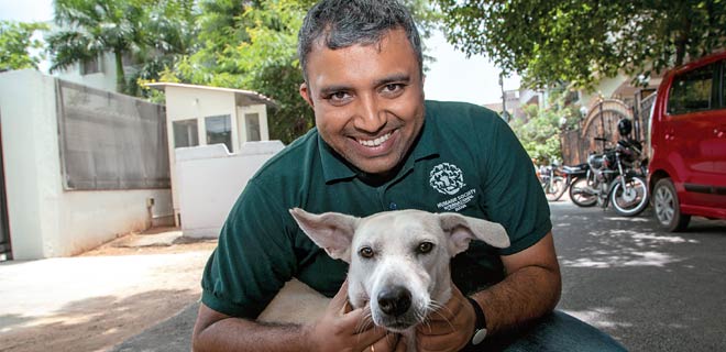 Fitting the various financial pieces