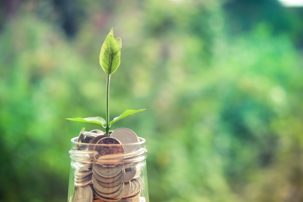 Best Investment Options that Help You Stay Afloat in Trying Times