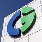 Watchful CG Power and Industrial Solutions