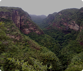 MP Pachmarhi